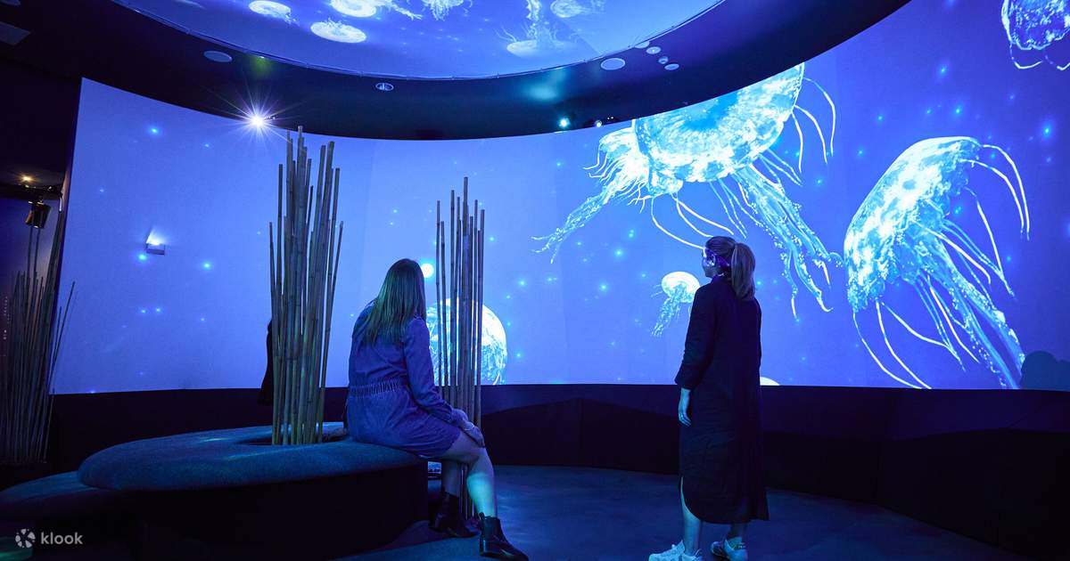 SEA LIFE Melbourne Aquarium Ticket Klook Australia